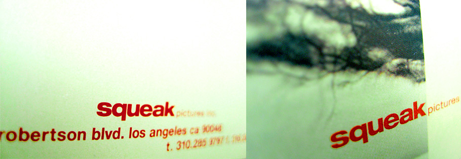 squeak business cards detail